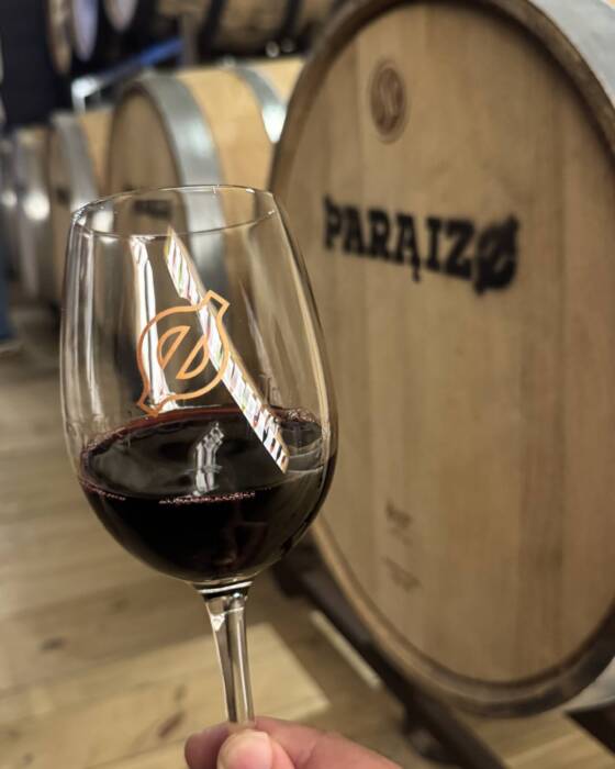 Vinho Fazenda Paraizo